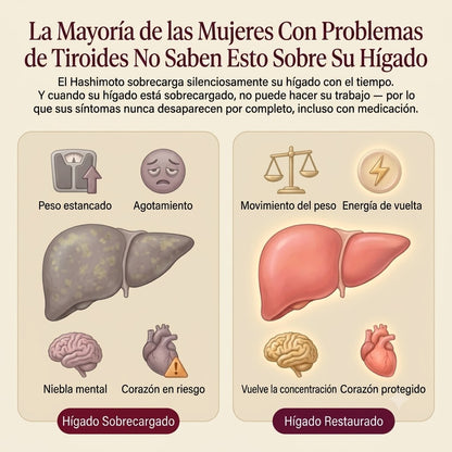 REGULADOR DE TIROIDES