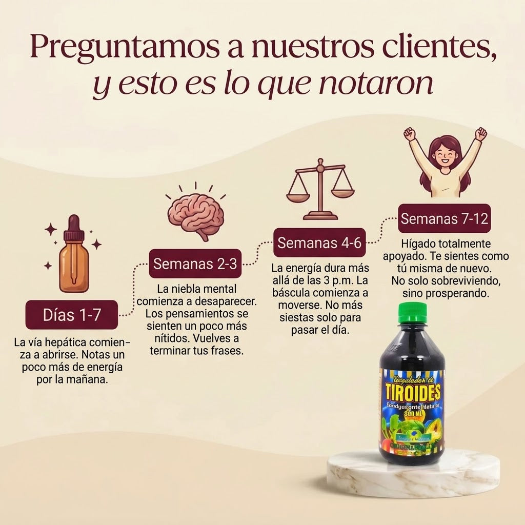 REGULADOR DE TIROIDES