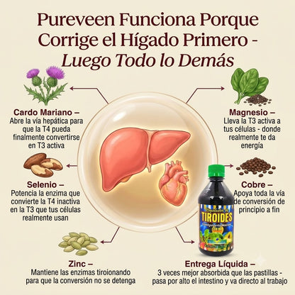 REGULADOR DE TIROIDES